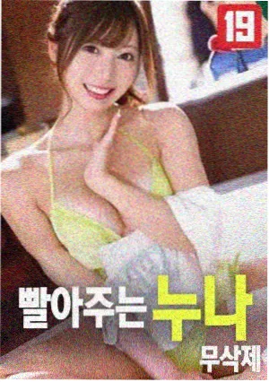 雾中风景免费观看